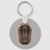 Trilobit Schlüsselanhänger (Vorderseite)