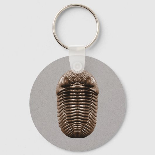 Trilobit Schlüsselanhänger (Vorderseite)