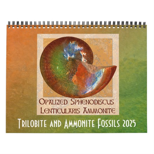 Trilobit und Ammonit Fossil 2025 Kalender (Titelbild)