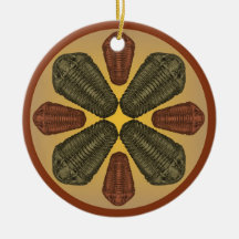 Trilobite Bronze und Kupfer Calymene Niagarensis