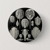 Trilobite! Button (Vorderseite)