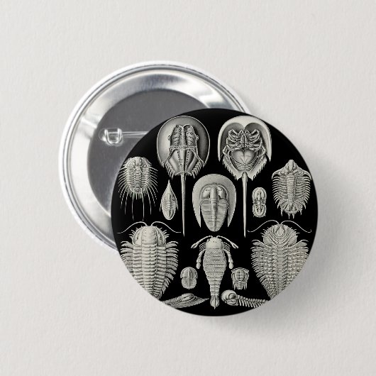 Trilobite! Button (Vorne & Hinten)