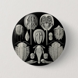 Trilobite! Button