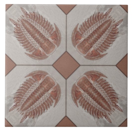 Trilobite Fliese (Vorderseite)