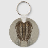 Trilobite Fossil Keychain Schlüsselanhänger (Vorderseite)