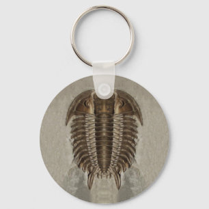 Trilobite Fossil Keychain Schlüsselanhänger
