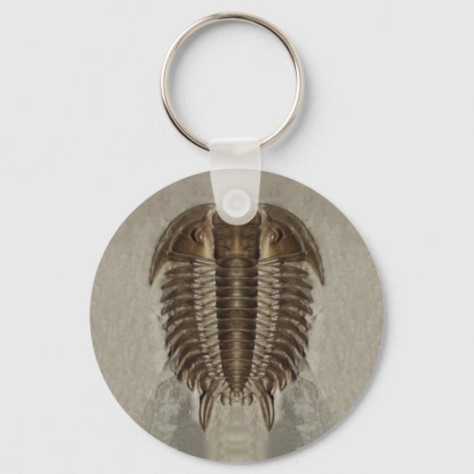 Trilobite Fossil Keychain Schlüsselanhänger (Vorderseite)