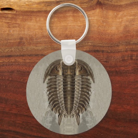 Trilobite Fossil Keychain Schlüsselanhänger (Vorderseite)