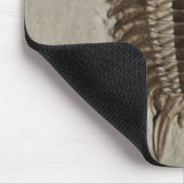 Trilobite Fossil Mousepad (Ecke)