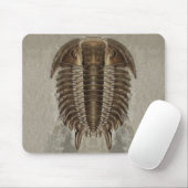 Trilobite Fossil Mousepad (Mit Mouse)