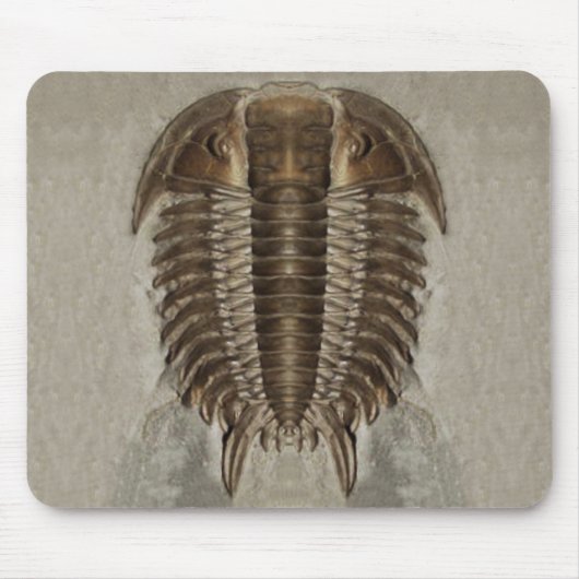 Trilobite Fossil Mousepad (Vorne)