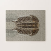 Trilobite Fossil-Puzzlespiel Puzzle (Horizontal)