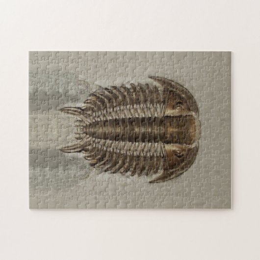 Trilobite Fossil-Puzzlespiel Puzzle (Horizontal)