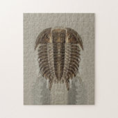 Trilobite Fossil-Puzzlespiel Puzzle (Vertikal)