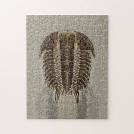 Trilobite Fossil-Puzzlespiel Puzzle (Vertikal)