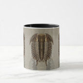 Trilobite Fossil-Tasse Tasse (Zentrum)