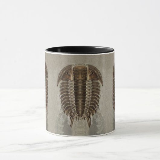 Trilobite Fossil-Tasse Tasse (Zentrum)