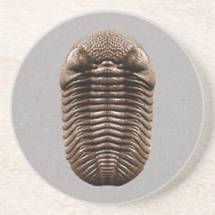 Trilobite Fossil Untersetzer