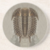 Trilobite Fossil-Untersetzer Sandstein Untersetzer (Vorne)