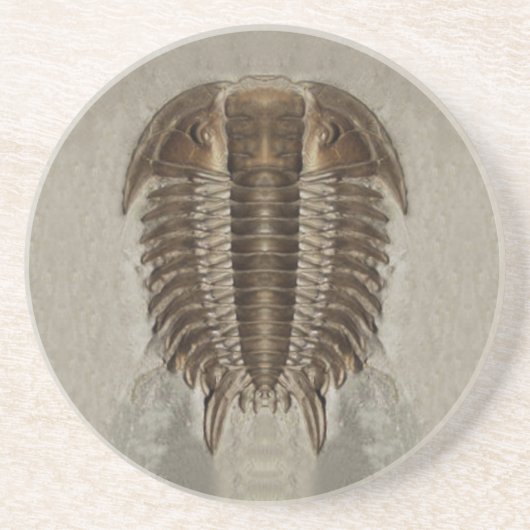 Trilobite Fossil-Untersetzer Sandstein Untersetzer (Vorne)