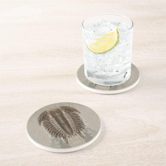 Trilobite Fossil-Untersetzer Sandstein Untersetzer (Seite)