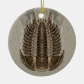 Trilobite Fossil-Verzierung Keramik Ornament (Vorne)