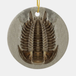 Trilobite Fossil-Verzierung Keramik Ornament