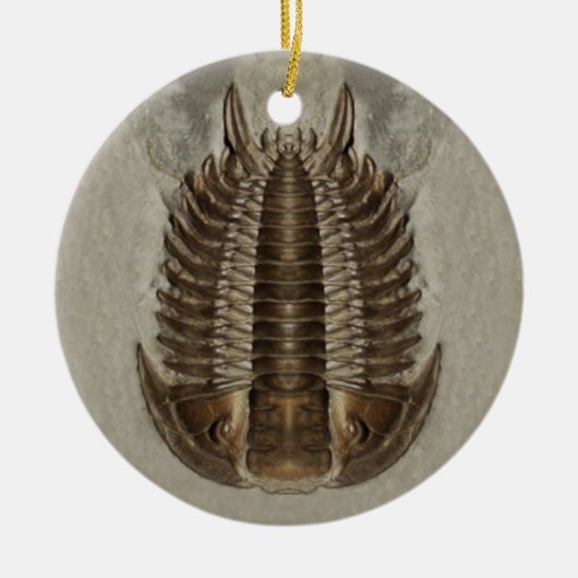 Trilobite Fossil-Verzierung Keramik Ornament (Vorne)