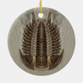Trilobite Fossil-Verzierung Keramik Ornament (Hinten)