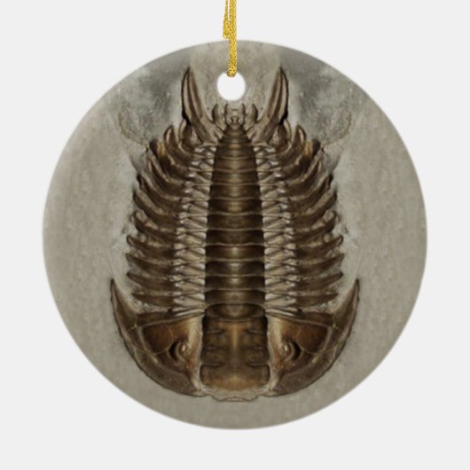 Trilobite Fossil-Verzierung Keramik Ornament (Hinten)
