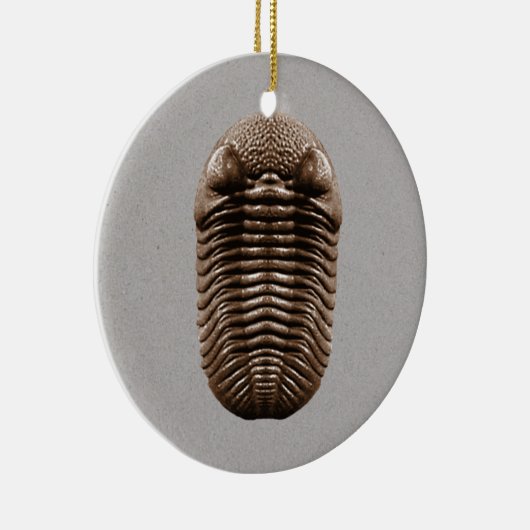 Trilobite Fossil-Verzierung Keramik Ornament (Rechts)