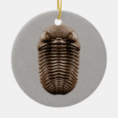 Trilobite Fossil-Verzierung Keramik Ornament (Vorne)
