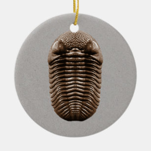 Trilobite Fossil-Verzierung Keramik Ornament