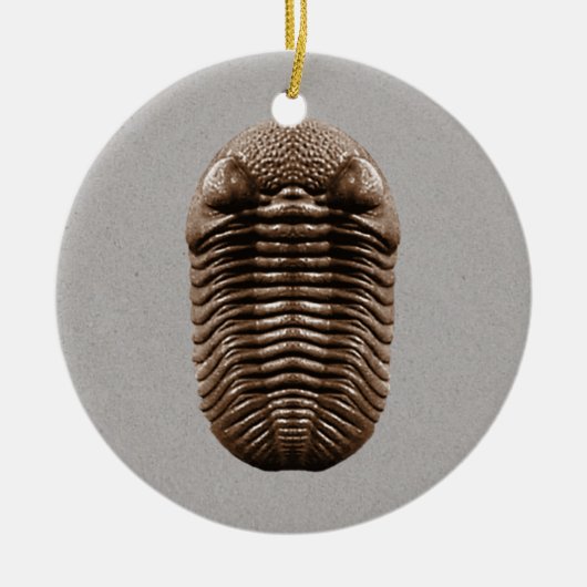 Trilobite Fossil-Verzierung Keramik Ornament (Vorne)
