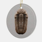 Trilobite Fossil-Verzierung Keramik Ornament (Links)