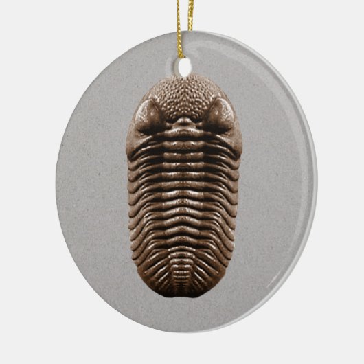 Trilobite Fossil-Verzierung Keramik Ornament (Links)