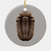 Trilobite Fossil-Verzierung Keramik Ornament (Hinten)