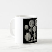 Trilobite! Kaffeetasse (Vorderseite Links)