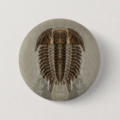 Trilobite Knopf Button (Vorderseite)