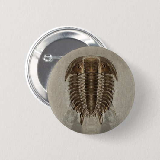 Trilobite Knopf Button (Vorne & Hinten)