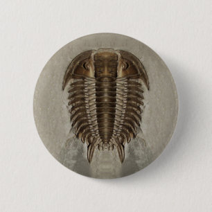 Trilobite Knopf Button