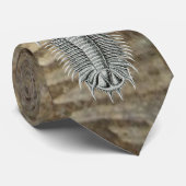 Trilobite Krawatte (Gerollt)
