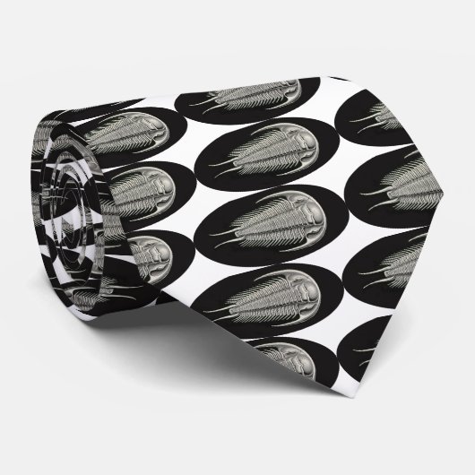 Trilobite Krawatte (Gerollt)