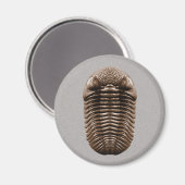 Trilobite Magnet (Vorderseite/Rückseite)