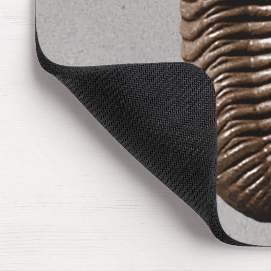 Trilobite Mousepad (Ecke)