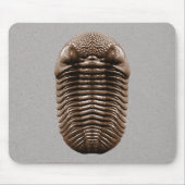 Trilobite Mousepad (Vorne)