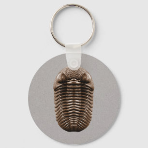 Trilobite Schlüsselanhänger