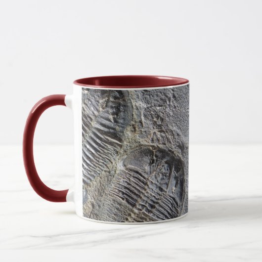 Trilobite Tasse (Links)