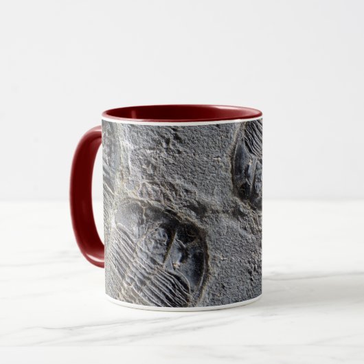 Trilobite Tasse (Vorderseite Links)