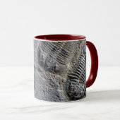 Trilobite Tasse (VorderseiteRechts)